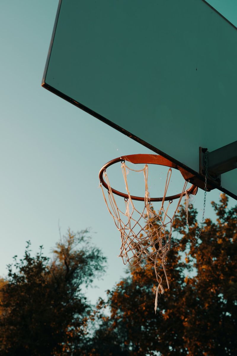 Basketball: L'Elan Chalon retrouve l'élite en écrasant ses adversairessport,basketball,ElanChalon,élite,adversaires