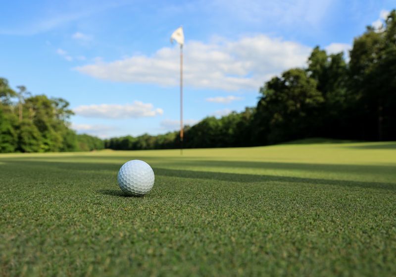 Le titre de l'article : "Le trou-en-un remarquable de Matt Pavon à l'US Open bouleverse le monde du golf !"golf,USOpen,trou-en-un,MattPavon,bouleversement