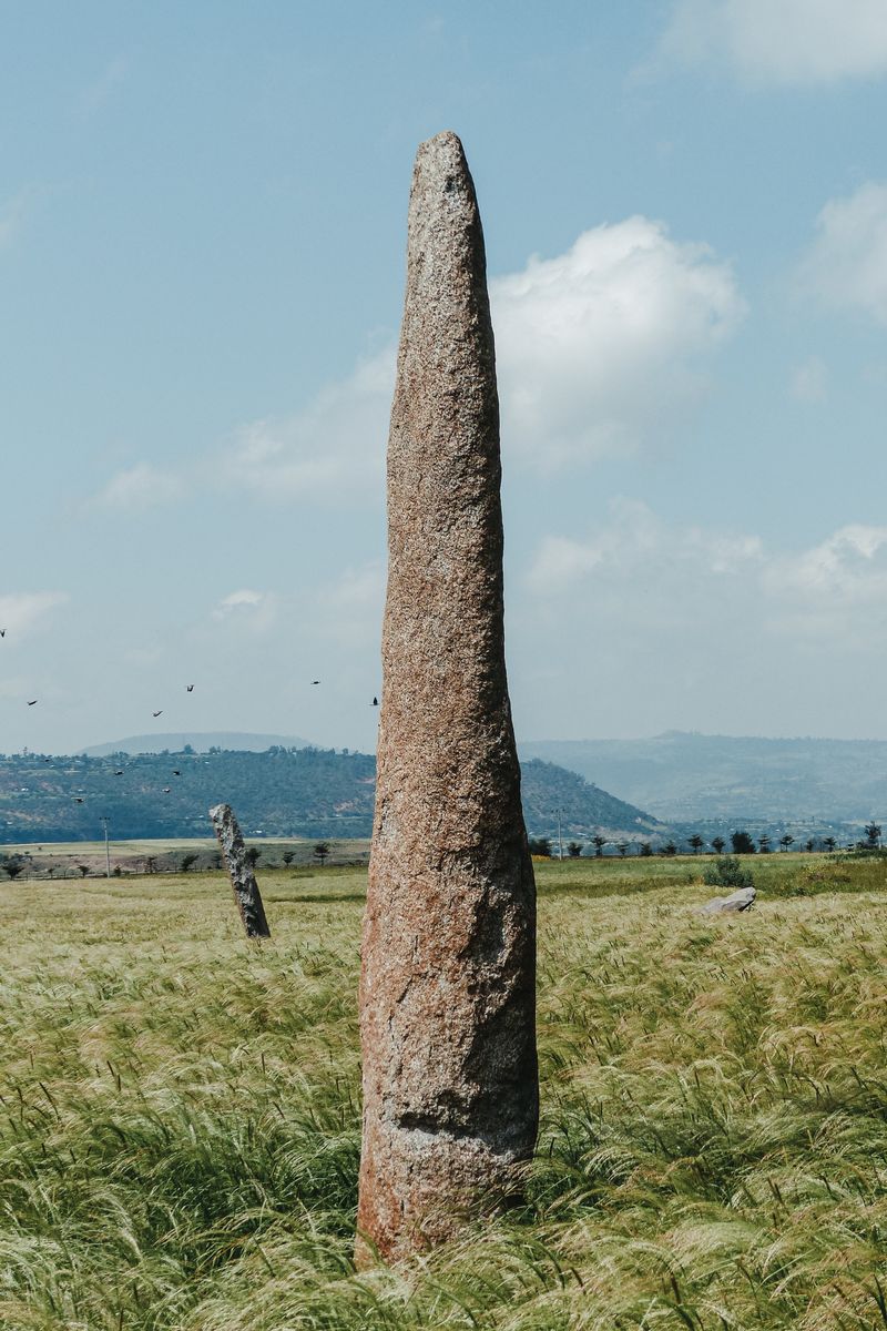 La destruction de 39 menhirs à Carnac pour construire un MR : où est le respect du patrimoine ?patrimoine,Carnac,menhirs,destruction,respect