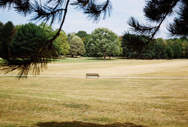 Les conséquences de la canicule sur la santé et l'environnement : l'alerte de Sandrine Rousseaucanicule,santé,environnement,alerte,SandrineRousseau