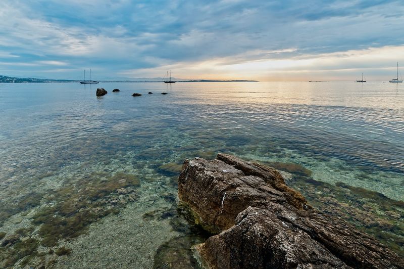 Le retour des requins en Méditerranée : quelle signification pour l'écosystème et les activités humaines ?requins,Méditerranée,écosystème,activitéshumaines