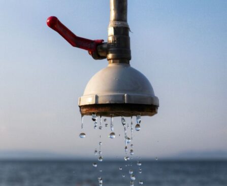 Expansion de la canicule en France : quatre départements placés en vigilance... canicule,France,départements,vigilance