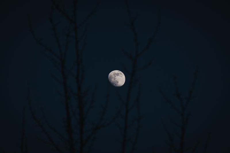 La véritable histoire derrière la "Super Lune bleue" lune,superlune,lunebleue,histoire,astronomie