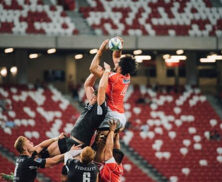 Irlande - Angleterre : Un triomphe historique pour les IrlandaisIrlande,Angleterre,triomphehistorique,rugby,sport