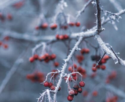 Savoie : Une neige précoce à Val Thorens, signe d'un hiver prometteur ?1.Savoie2.ValThorens3.Neigeprécoce4.Hiverprometteur