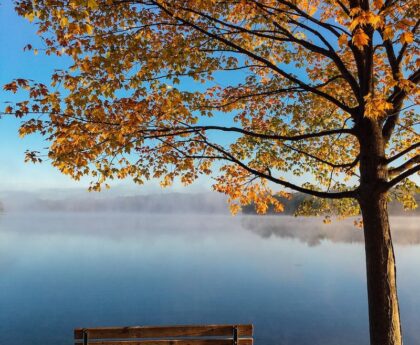 L'automne en question : Démystification de la date de commencement de la saisonautomne,saison,datedecommencement,démystification