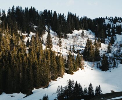 Un meurtre brutal en Savoie : enquête sur le suspect et les circonstances du drame1.MeurtreenSavoie2.Enquêtecriminelle3.Suspectdemeurtre4.Circonstancesdudrame5.Crimebrutal6