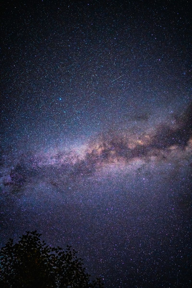 L'apogée de la pluie d'étoiles filantes : comment l'observer au mieux cette année ?étoilesfilantes,pluied'étoiles,observation,astronomie,ciel,astrophotographie