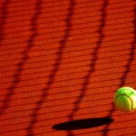 US Open : Djokovic triomphe en finale face à Medvedev - Revivez le matchUSOpen,Djokovic,Medvedev,finale,triomphe,match
