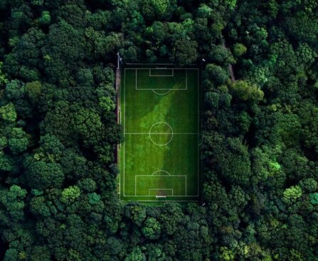 Fidji - Portugal : Inoubliable duel sur le terrain de l'éternitéFidji,Portugal,duel,terrain,éternité