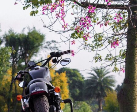 MANU LANVIN, PASSIONNÉ DE HARLEY : UNE SOIF DE LIBERTÉ-ManuLanvin-PassionnédeHarley-Soifdeliberté-Moto-Biker-Musique-Rock-Artiste-Concert-Lifestyle