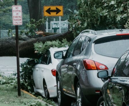 Tempête Philippe : la Guadeloupe en alerte rouge, les Antilles face à un nouvel épisode destructeurtempêtePhilippe,Guadeloupe,alerterouge,Antilles,épisodedestructeur