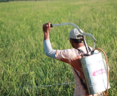 Glyphosate : l'échec des 27 pays de l'Union européenne dans la régulation du pesticide controverséglyphosate,régulation,pesticide,Unioneuropéenne,échec