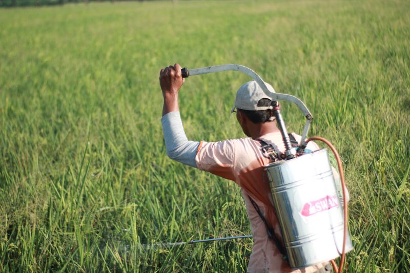 Glyphosate : l'échec des 27 pays de l'Union européenne dans la régulation du pesticide controverséglyphosate,régulation,pesticide,Unioneuropéenne,échec