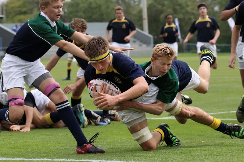 Le nouveau défi des Pumas argentins en quarts de finale de la Coupe du Monde de rugby contre les puissants Japonaisrugby,CoupeduMonde,Pumasargentins,quartsdefinale,Japonais