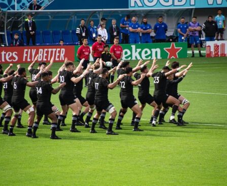 La pilule est difficile à avaler : La déception des supporters après la Coupe du monde de rugbyrugby,Coupedumonde,supporters,déception,piluledifficileàavaler