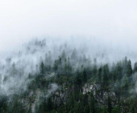 Tempête Céline : Les vols annulés à l'aéroport de Brest, les conséquences d'une perturbation climatique majeuretempêteCéline,volsannulés,aéroportdeBrest,perturbationclimatiquemajeure,conséquences